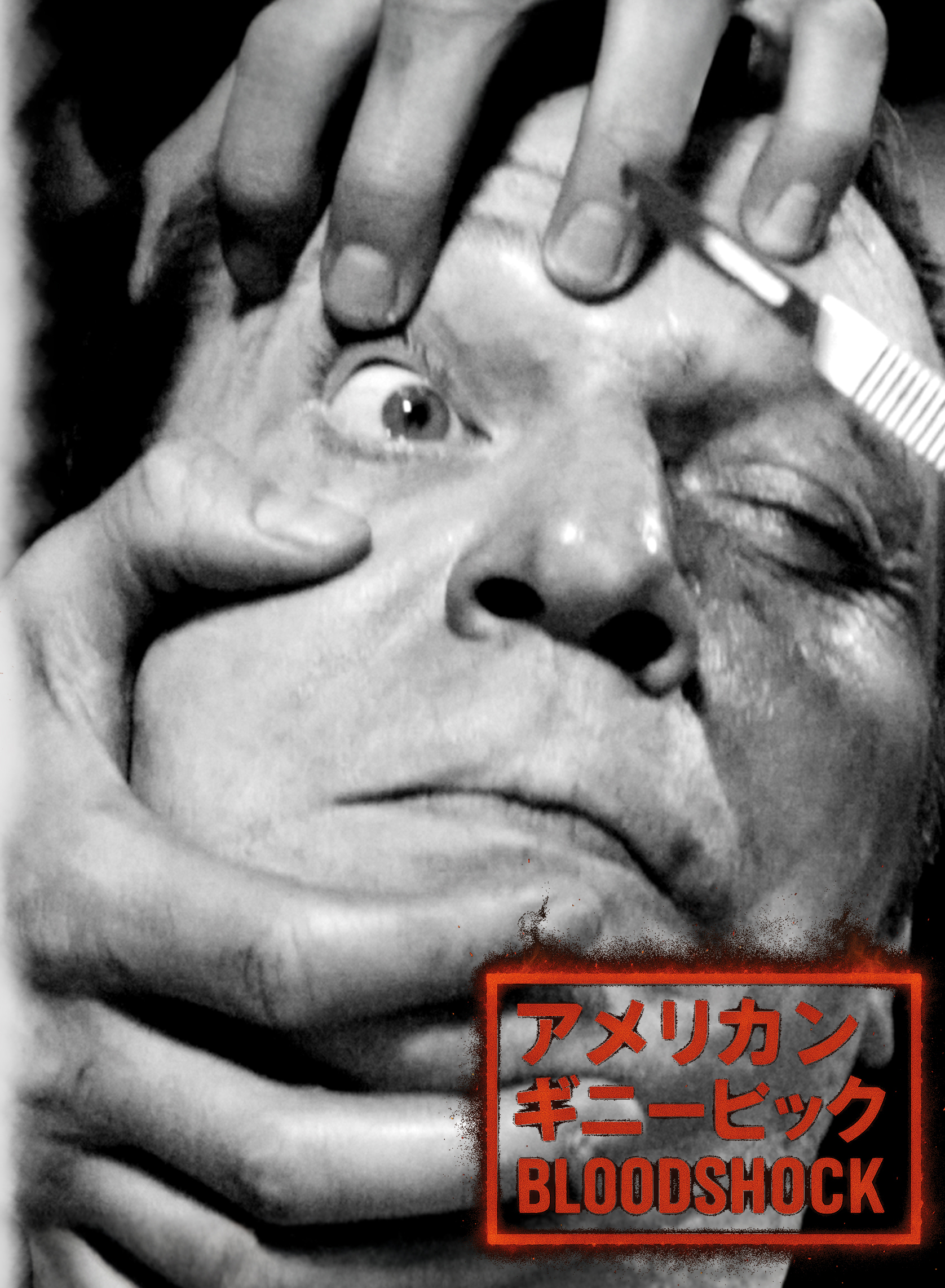 American Guinea Pig Bloodshock Mediabook Cover D – Bild 3