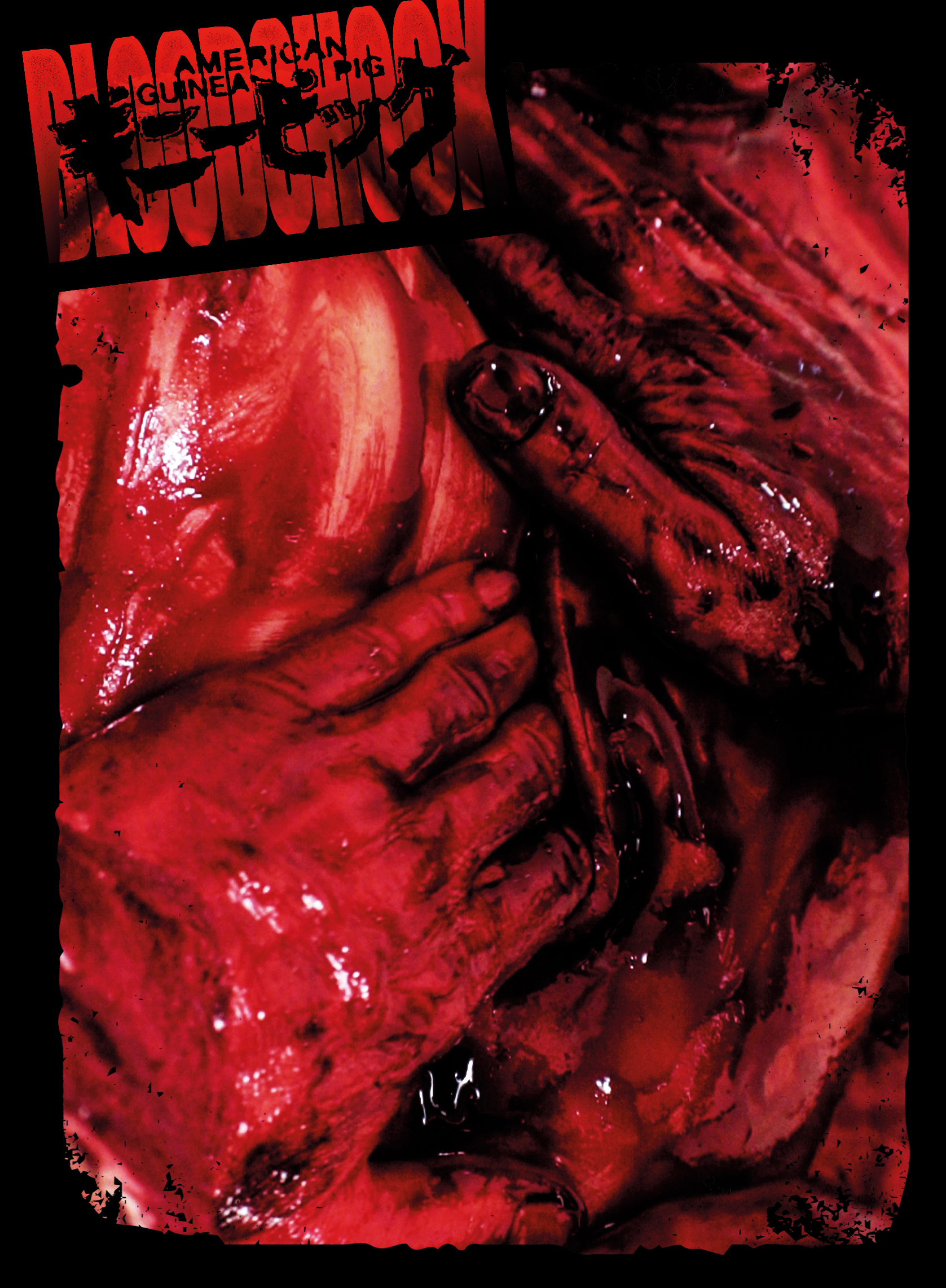 American Guinea Pig Bloodshock Mediabook Cover E – Bild 3