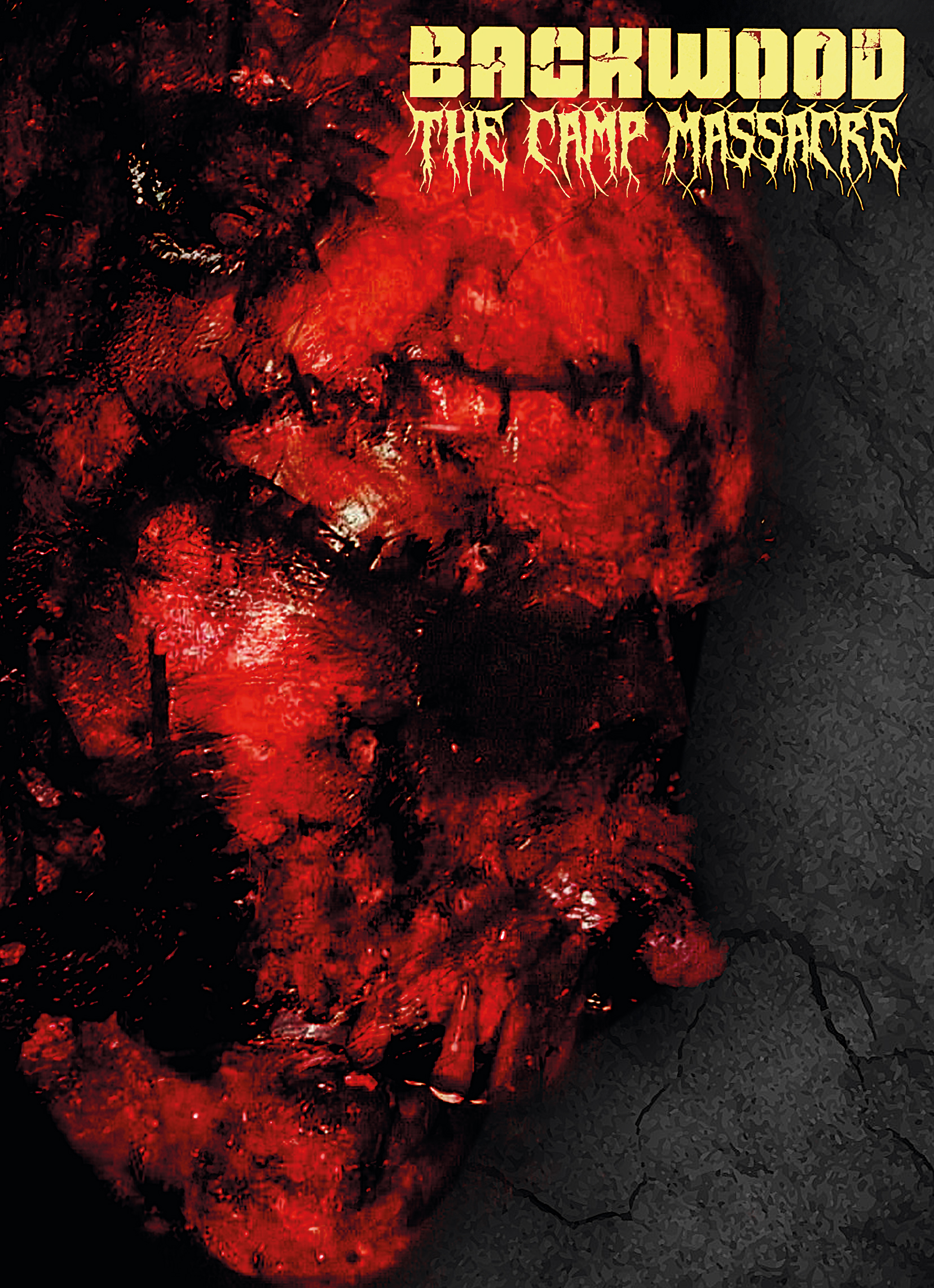 Backwood: The Camp Massacre Mediabook Cover F – Bild 3