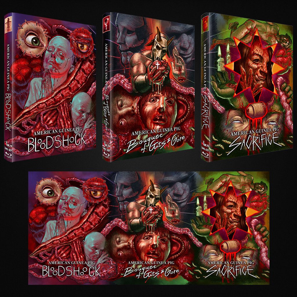 American Guinea Pig Bundle Cover A